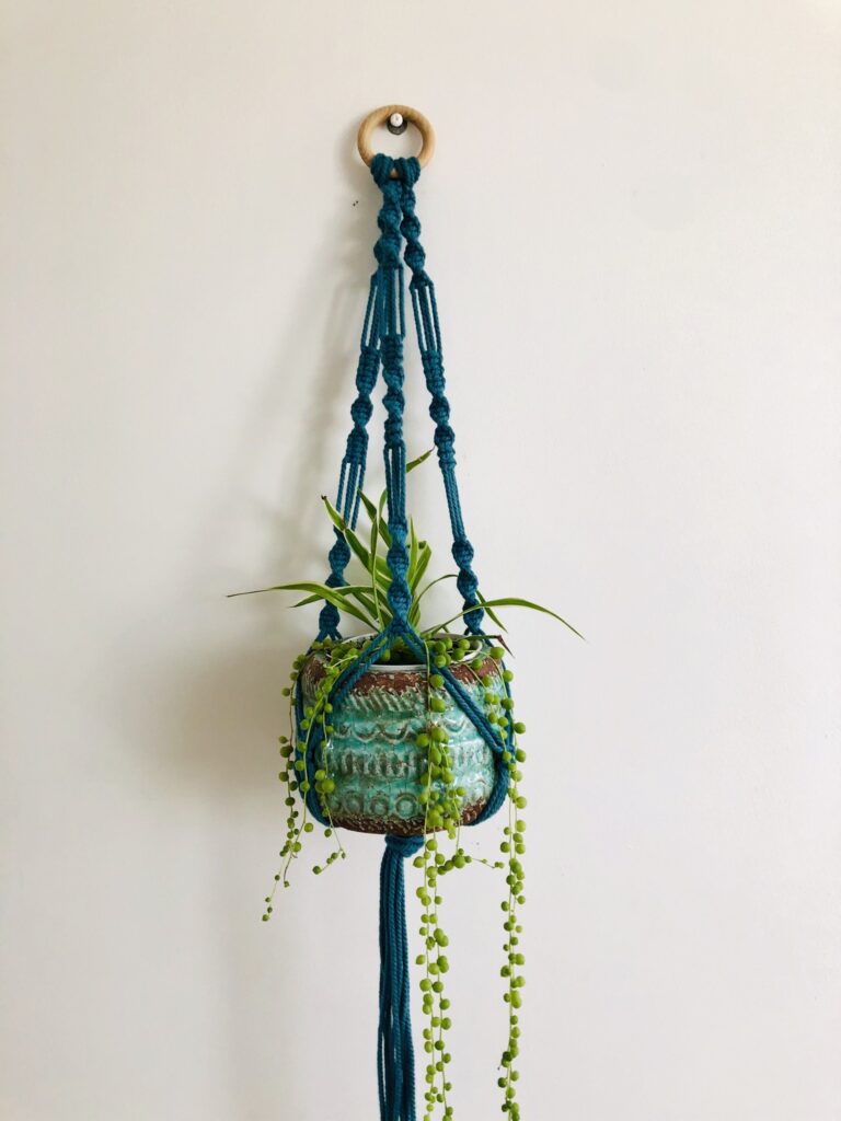 Salvaged fishing line rope plant hangers